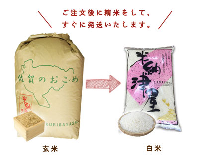玄米と白米イメージ